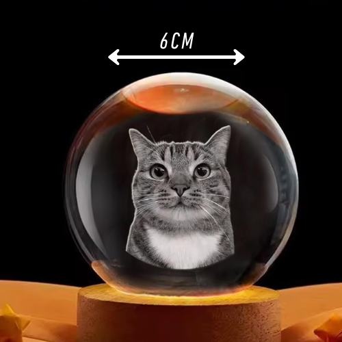 Bola de Cristal Personalizada con Foto de Mascota en 3D Y Base con Luz LED