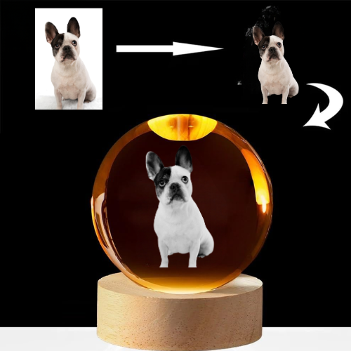 Bola de Cristal Personalizada con Foto de Mascota en 3D Y Base con Luz LED